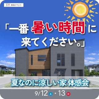 SW夏体感